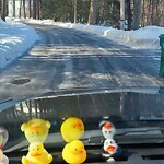Roadway Plowing/Sanding at 22 Riverhurst Rd