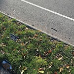 Street Sweeping at 32 Glad Valley Dr