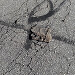 Pothole at 3 Carson St