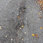 Pothole at 1–17 Shady Hill Ave