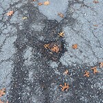 Pothole at 36 Blackwood Ave