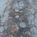 Pothole at 36 Blackwood Ave
