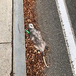 Other at 29 Concord Rd