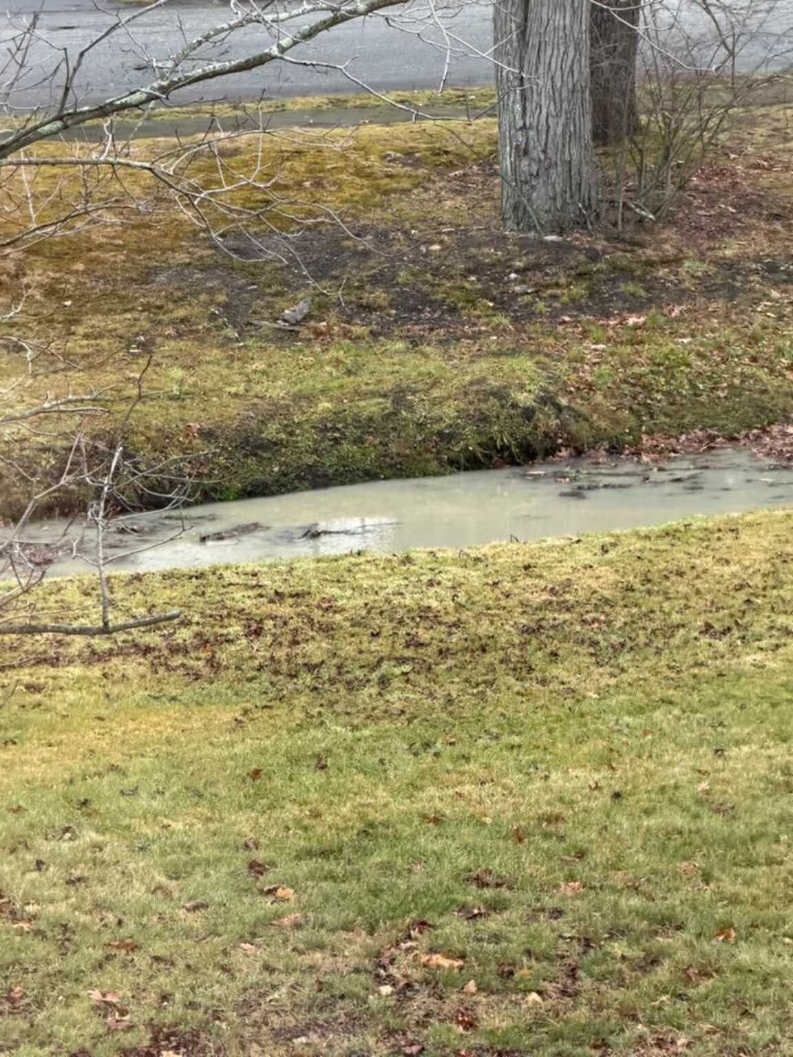 Photo_20251124_075639