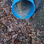 Roadway Plowing/Sanding at 1 Stewart St