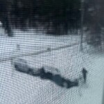 Roadway Plowing/Sanding at 6 Abbott Rd