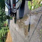 Stormwater at Kenwood St & Juniper St, North Billerica