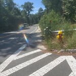 Sidewalk Obstruction at 3 Marshbrook Rd