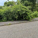 Sidewalk Obstruction at 3 Ricca Farm Rd, North Billerica
