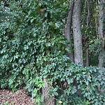 Parks at 42.56 N 71.27 W