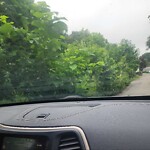 Line of Sight Obstruction at 85 Lexington Rd