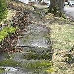 Sidewalk Repair at 2–98 Henry St, North Billerica 01862