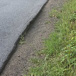 Roadway at 18 French St