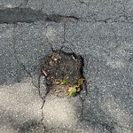 Pothole at 2–98 Ruggles St, North Billerica