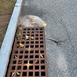 Stormwater at 5 Greenough Rd, North Billerica